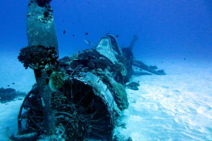 WWII Corsair Fighter wreck on Oahu, Hawaii